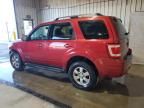 2008 Ford Escape Limited