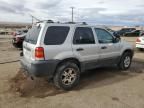 2005 Ford Escape XLT