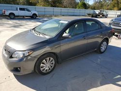 Toyota Vehiculos salvage en venta: 2010 Toyota Corolla Base