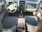 2010 Ford Escape XLS