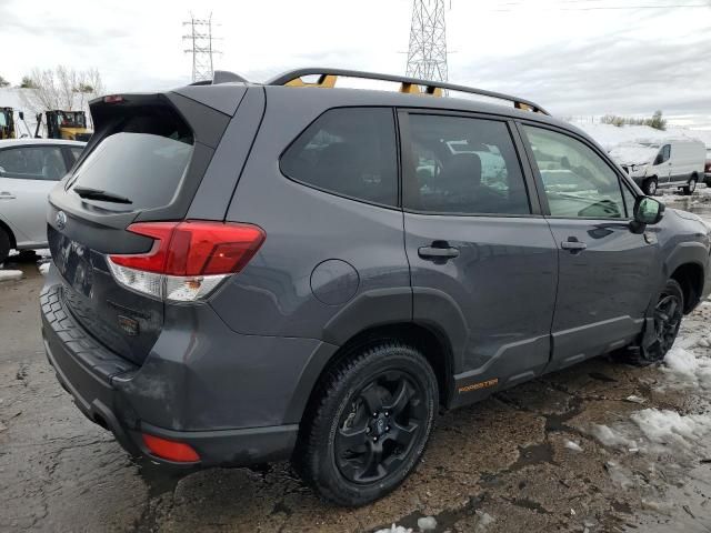 2023 Subaru Forester Wilderness