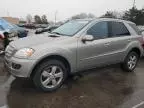 2006 Mercedes-Benz ML 500