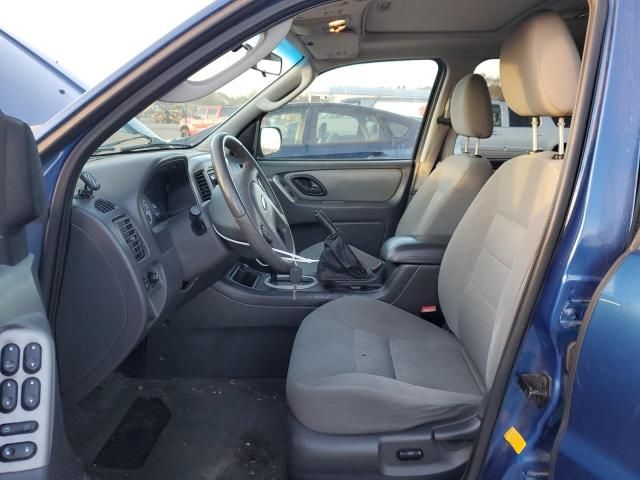 2007 Ford Escape XLT