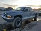 1999 Dodge Dakota