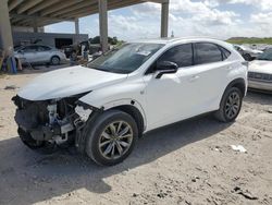 Salvage cars for sale at West Palm Beach, FL auction: 2016 Lexus NX 200T Base