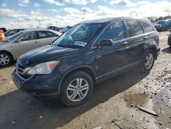 Salvage cars for sale at Indianapolis, IN auction: 2010 Honda CR-V EX