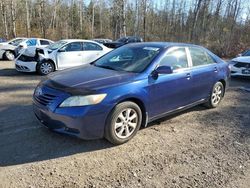 Salvage cars for sale at Cookstown, ON auction: 2007 Toyota Camry CE