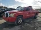 2006 Dodge Dakota SLT