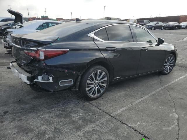 2019 Lexus ES 300H