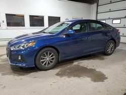 Salvage cars for sale at Blaine, MN auction: 2019 Hyundai Sonata SE