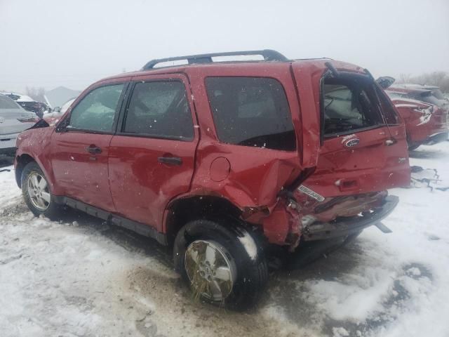 2011 Ford Escape XLT