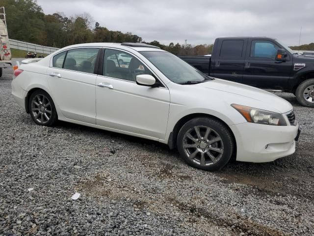 2008 Honda Accord EXL