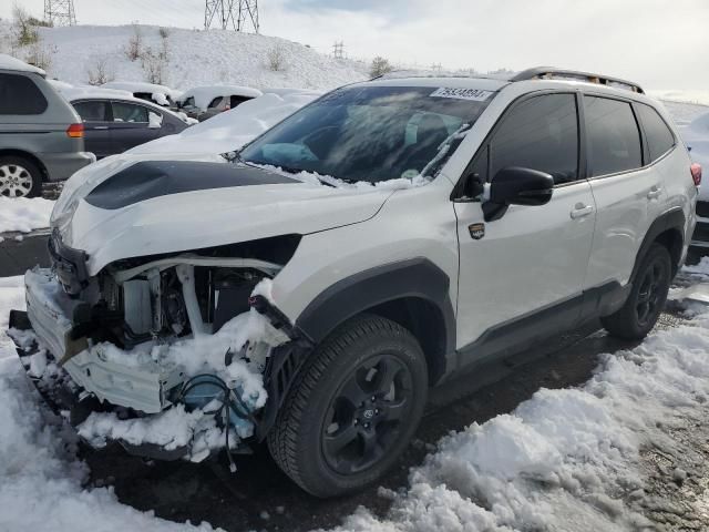 2024 Subaru Forester Wilderness