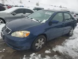 2005 Toyota Corolla CE en venta en Littleton, CO