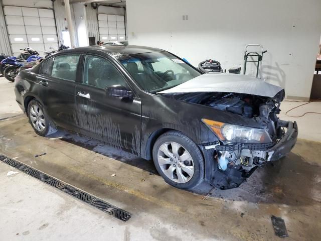 2008 Honda Accord EXL