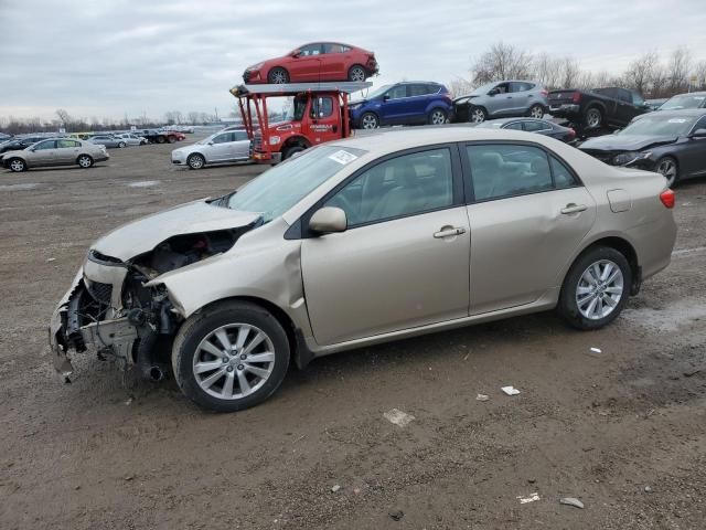 2010 Toyota Corolla Base