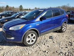 Salvage cars for sale at Candia, NH auction: 2015 Ford Escape SE