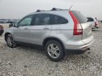 2010 Honda CR-V EXL