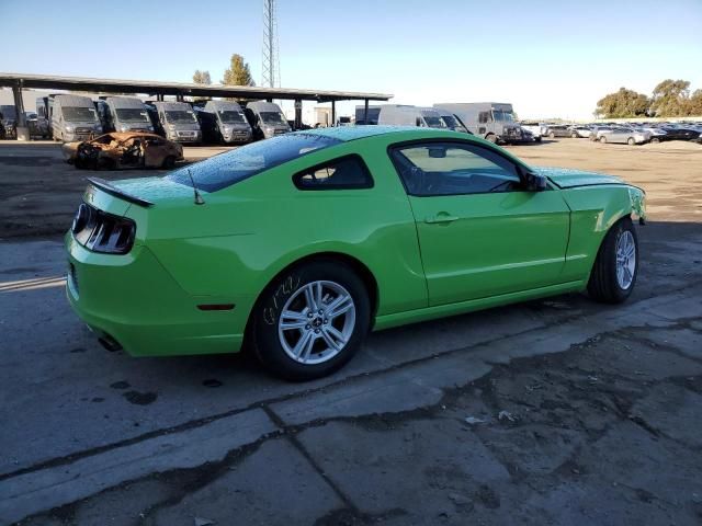 2013 Ford Mustang