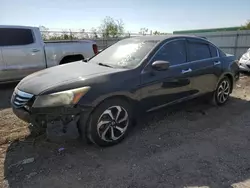 Salvage cars for sale at Houston, TX auction: 2012 Honda Accord EXL