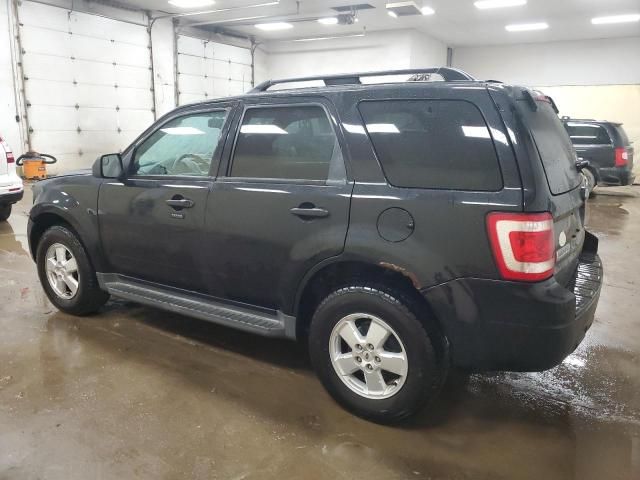 2010 Ford Escape XLT