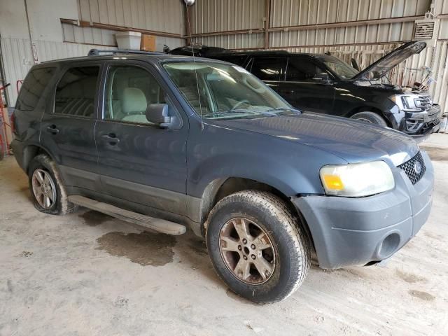 2006 Ford Escape XLT