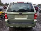 2008 Ford Escape XLS