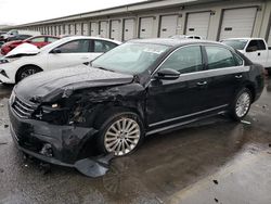 Salvage cars for sale at Louisville, KY auction: 2016 Volkswagen Passat SE