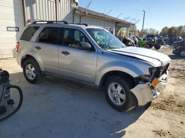 2009 Ford Escape XLT