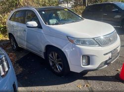 KIA Sorento salvage cars for sale: 2015 KIA Sorento SX