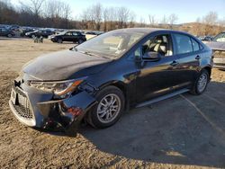 Toyota Corolla le salvage cars for sale: 2022 Toyota Corolla LE