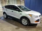 2013 Ford Escape S