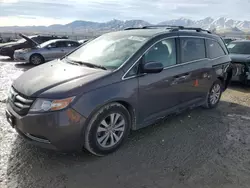 Salvage cars for sale at Magna, UT auction: 2014 Honda Odyssey EXL