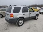 2005 Ford Escape XLT