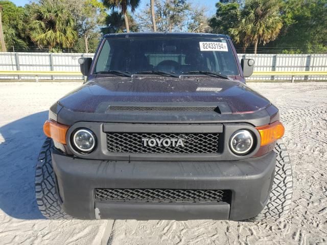 2007 Toyota FJ Cruiser