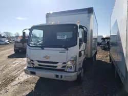 Salvage cars for sale from Copart Cicero, IN: 2023 Chevrolet 4500