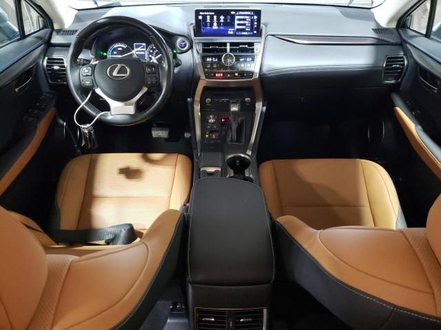 2020 Lexus NX 300H