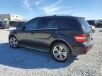 2010 Mercedes-Benz ML 350