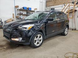 Ford salvage cars for sale: 2016 Ford Escape SE