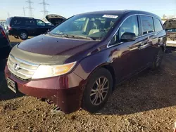 Salvage cars for sale at Elgin, IL auction: 2012 Honda Odyssey EXL