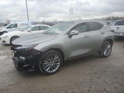 Salvage cars for sale at Indianapolis, IN auction: 2024 Lexus NX 350H Base