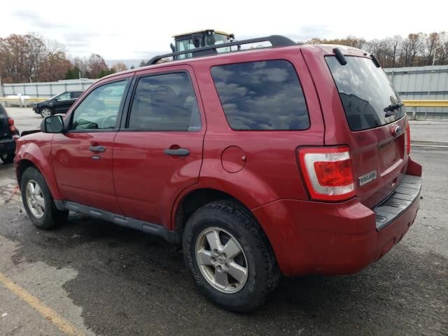 2011 Ford Escape XLT