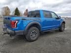 2019 Ford F150 Raptor