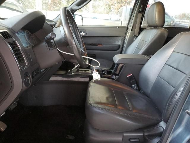 2010 Ford Escape Limited