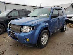 Ford Vehiculos salvage en venta: 2010 Ford Escape XLT