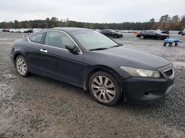 2009 Honda Accord EXL