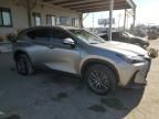 2023 Lexus NX 250