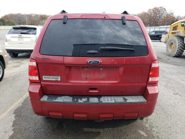 2011 Ford Escape XLT