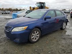 Salvage Cars with No Bids Yet For Sale at auction: 2010 Toyota Camry Base