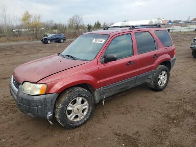 2004 Ford Escape XLT